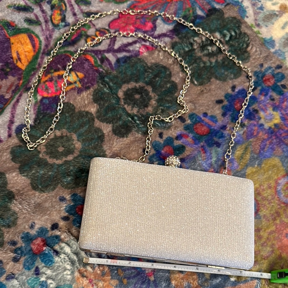 Elegant Silver Evening Clutch